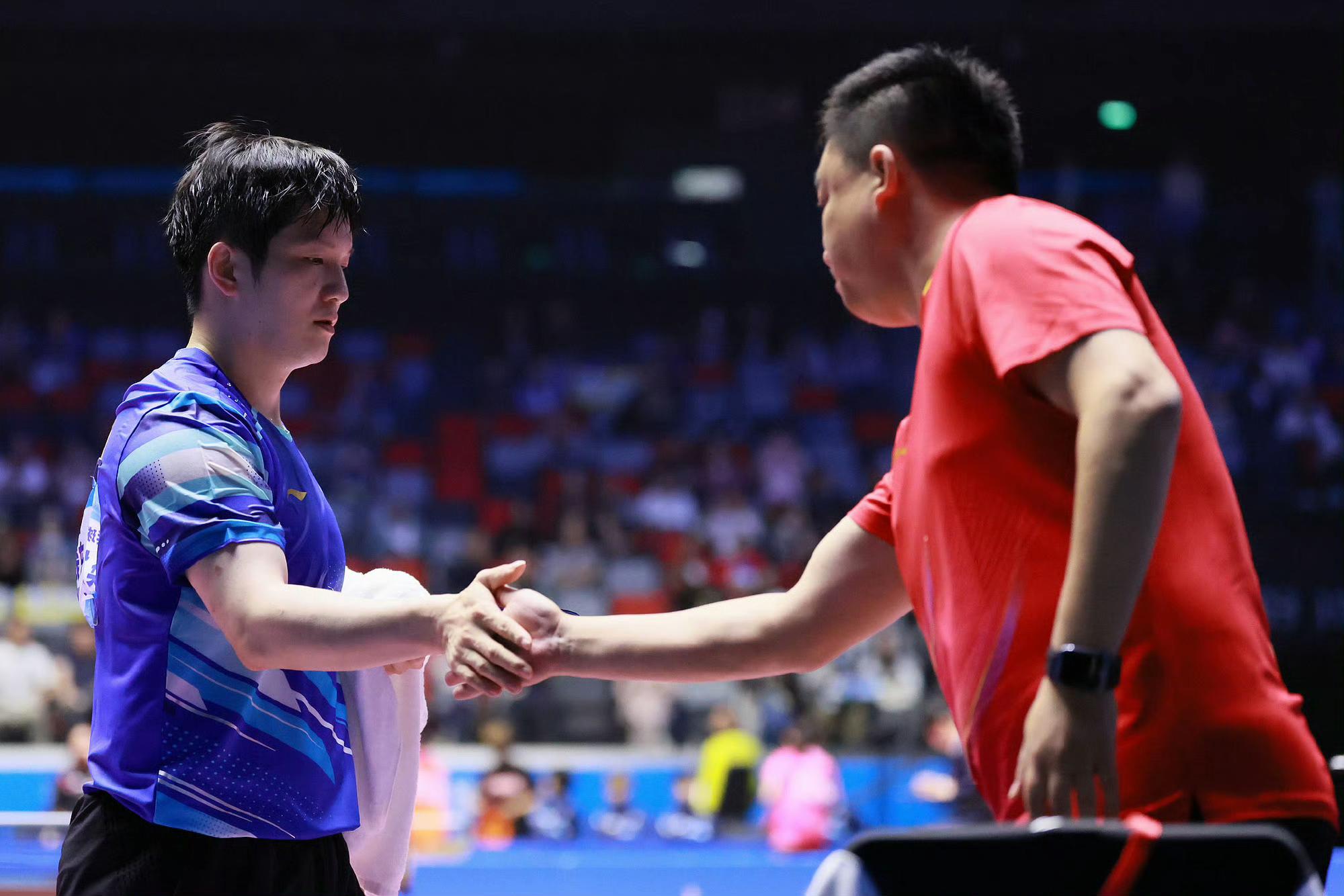 世俱杯官网-韩国队完胜瑞典队，樊振东统治全场