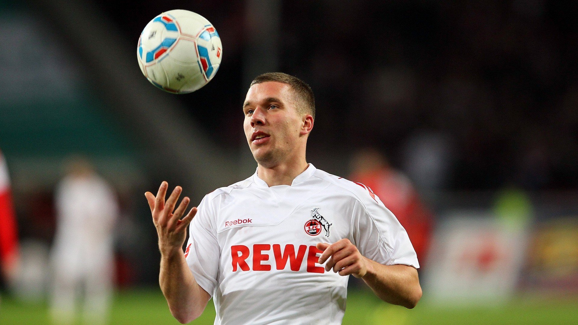 城邦沦陷日，当门迪成为唯一真理